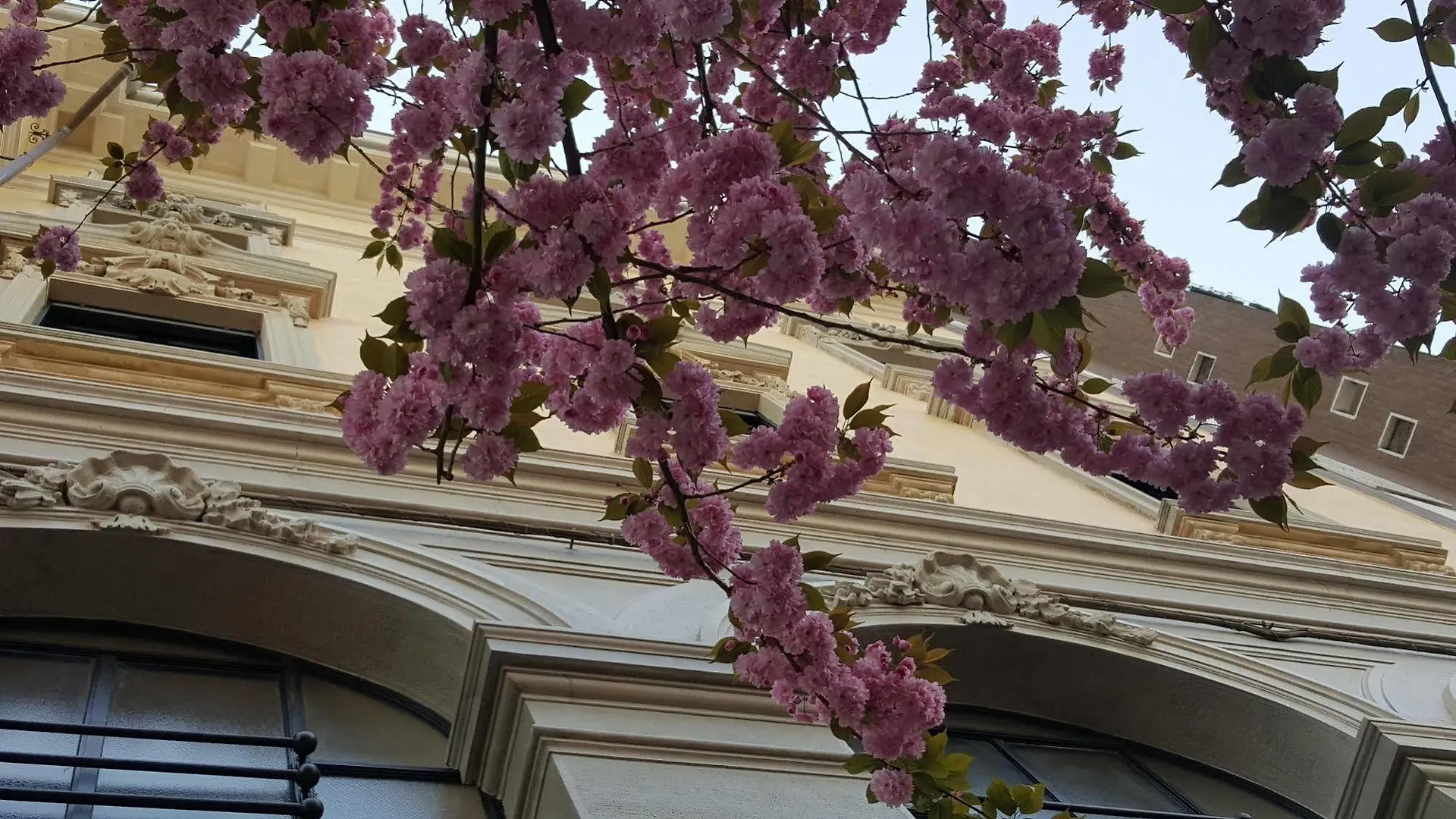 Hotel La Nuova Rotaia Галларате