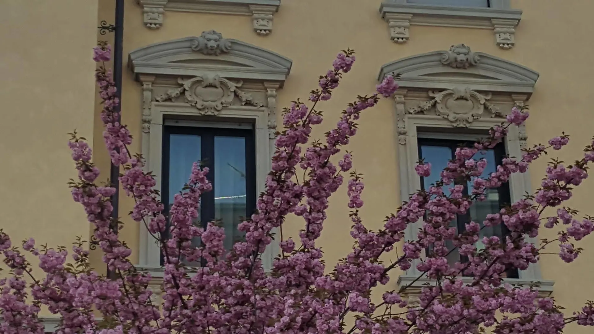 Hotel La Nuova Rotaia Gallarate